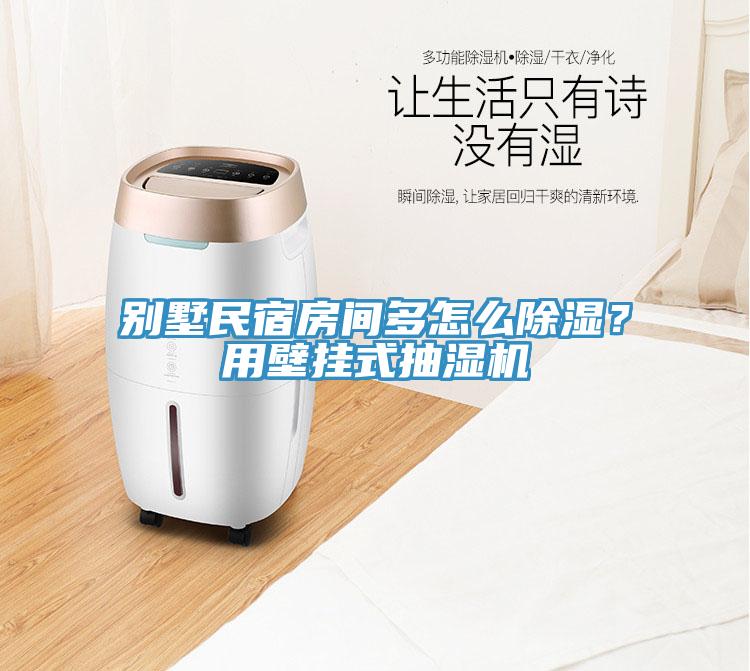 別墅民宿房間多怎么除濕？用壁掛式抽濕機(jī)