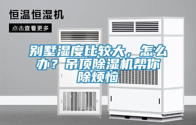 別墅濕度比較大，怎么辦？吊頂除濕機(jī)幫你除煩惱