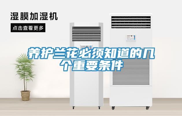 養(yǎng)護蘭花必須知道的幾個重要條件