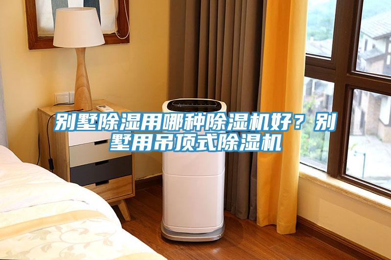 別墅除濕用哪種除濕機好？別墅用吊頂式除濕機