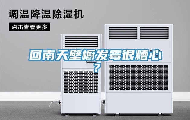 回南天壁櫥發(fā)霉很糟心？