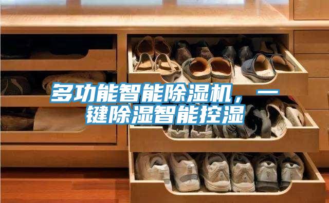 多功能智能除濕機，一鍵除濕智能控濕